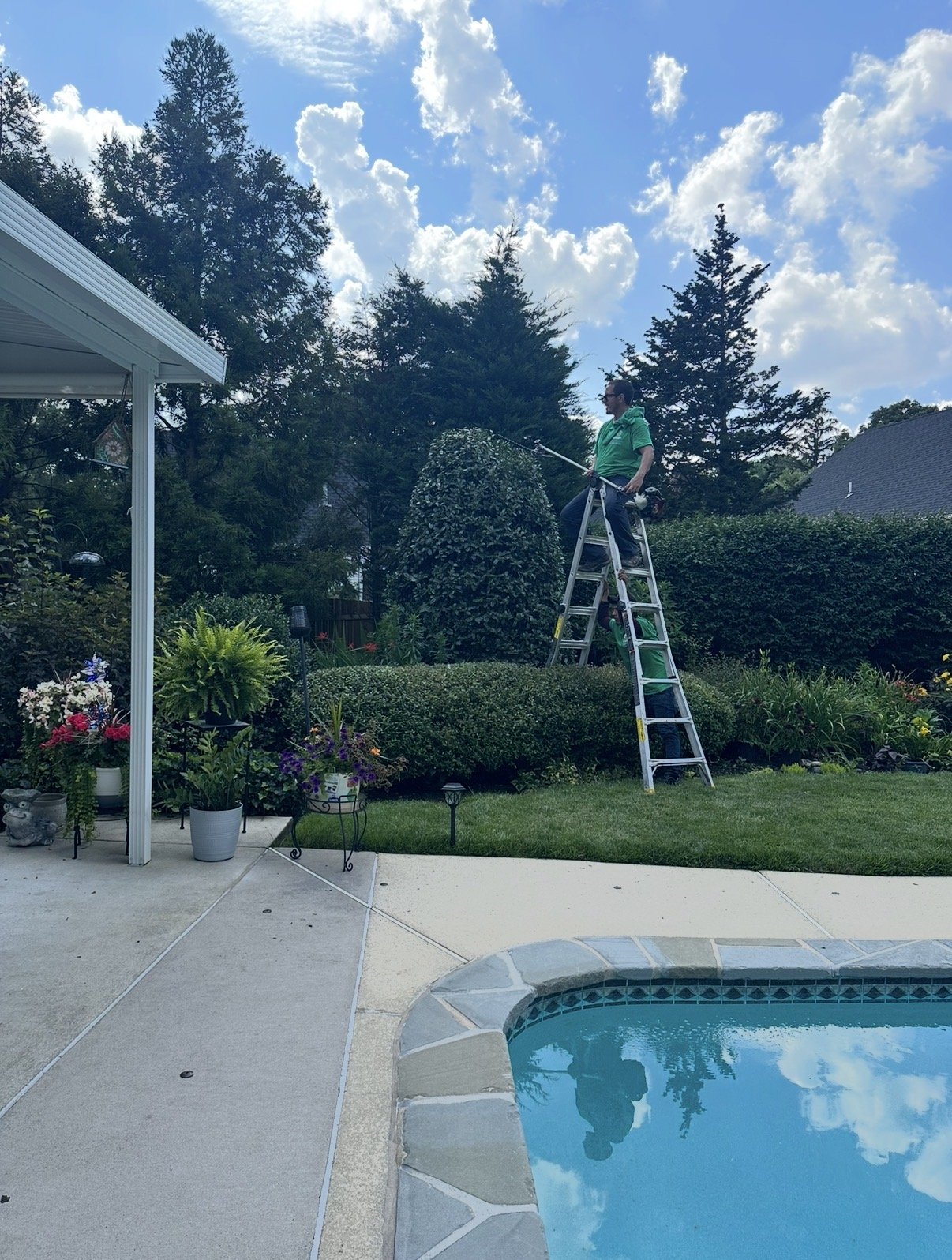 Pole-saw work