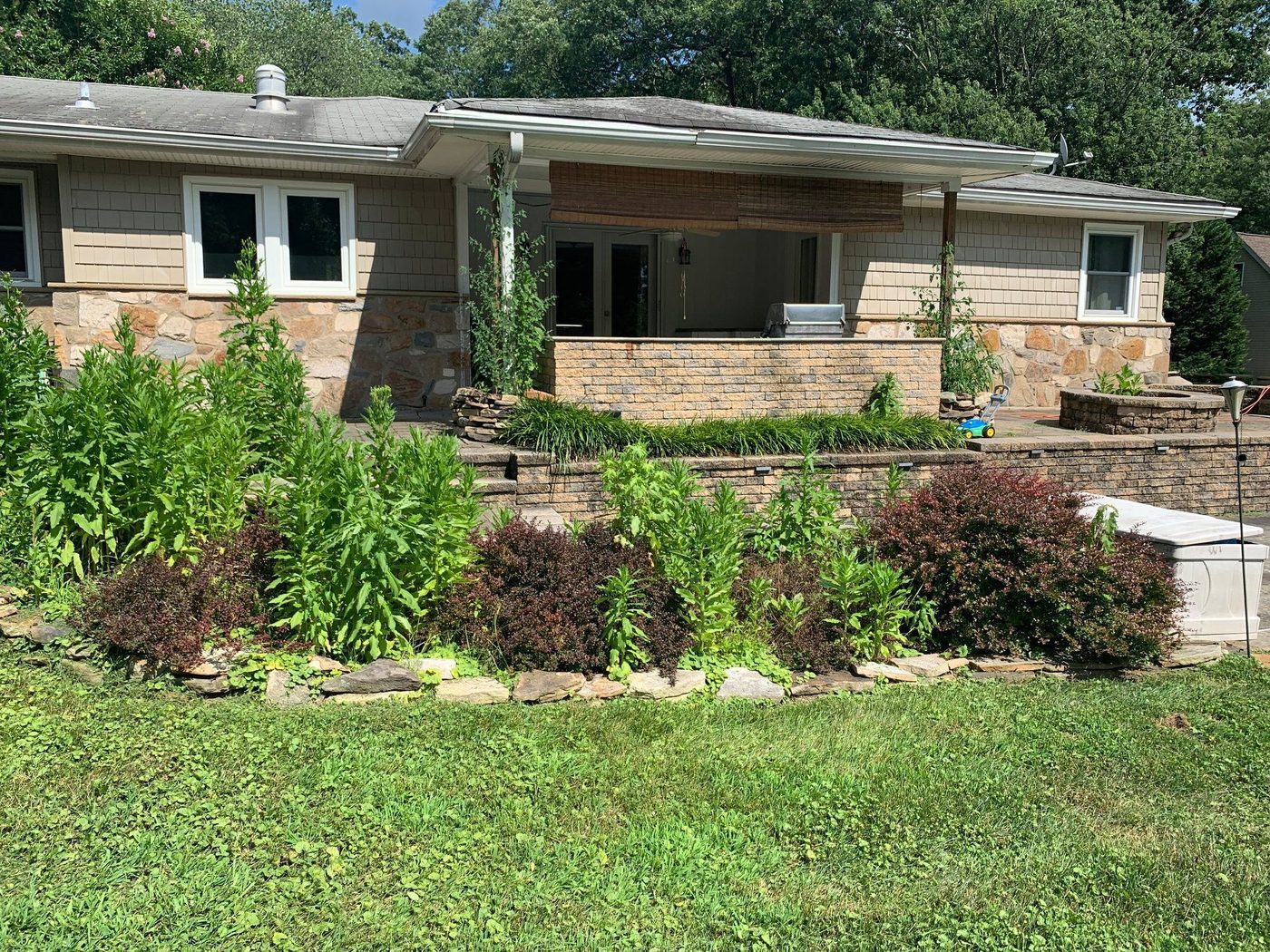 Lawn Maintenance